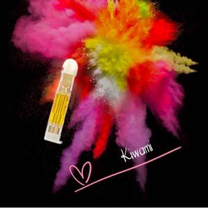 最安値挑戦DGNリキッド1ml