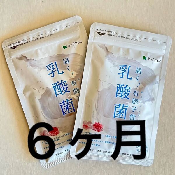 【匿名配送】シードコムス 乳酸菌 6ヶ月分