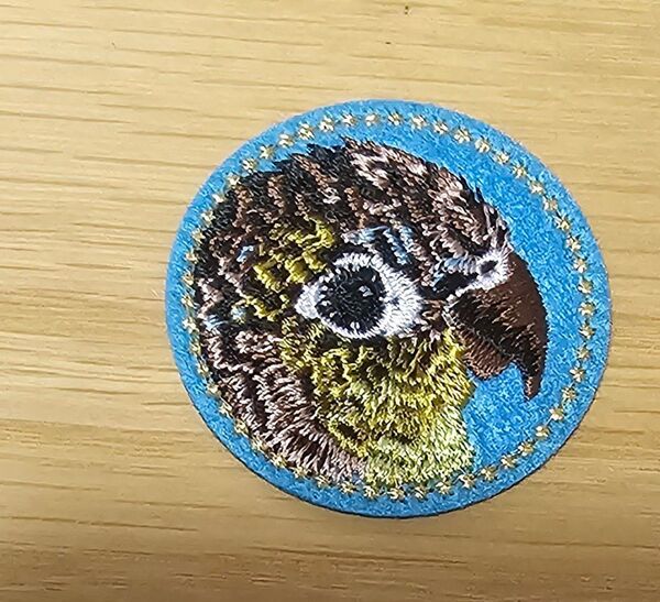 ウロコインコ インコ ワッペン 刺繍 ブローチ アップリケ