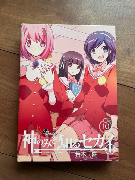 神のみぞ知るセカイ FLAG.0 DVD ポストカード 若木民喜 小学館