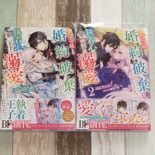 悪役令嬢として婚約破棄されたところ、執着心強めな第二王子が溺愛してきました。 ぷにちゃん/著