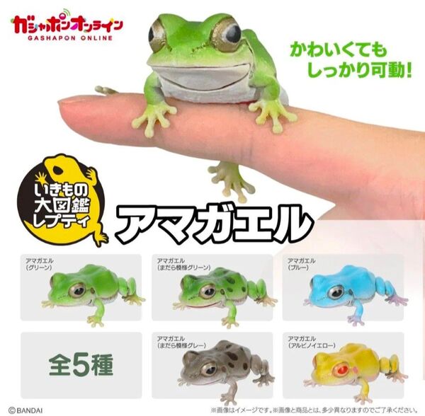 ガシャポンオンライン いきもの大図鑑レプティ アマガエル 全5種 フルコンプリート ガチャ