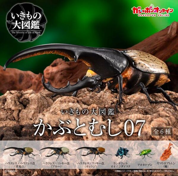 オンラインガシャポン いきもの大図鑑 かぶとむし07 全6種 フルコンプリート ガチャ