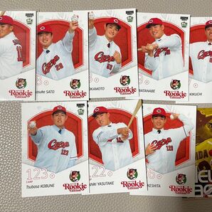 2025BBM ルーキーエディションレギュラーコンプ 広島東洋カープ 9種