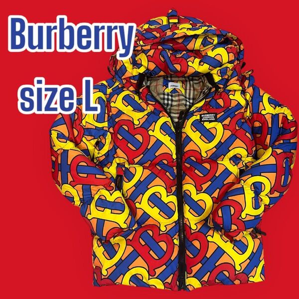 【激レア】BURBERRY モノグラムプリント ダウンジャケット L