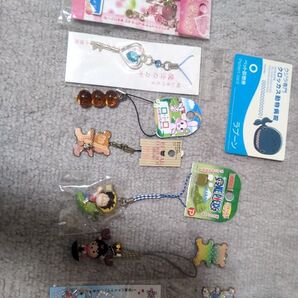 色んなご当地ストラップ