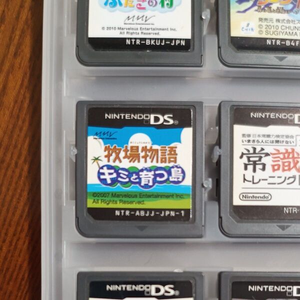 DS 牧場物語 キミと育つ島 ソフトのみ