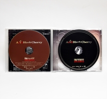 ☆★Acid Black Cherry / INCUBUS インキュバス 初回限定盤 CD+DVD 帯付★☆_画像3