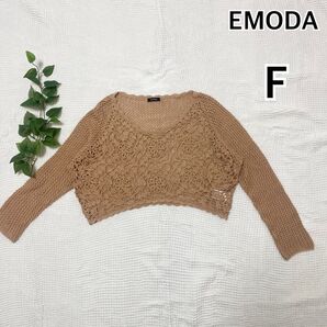EMODA エモダ 透かし編みレースニット スカラップ フラワー F ベージュ