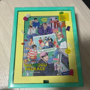 GGL PACKAGE for ENGENE 2021年製