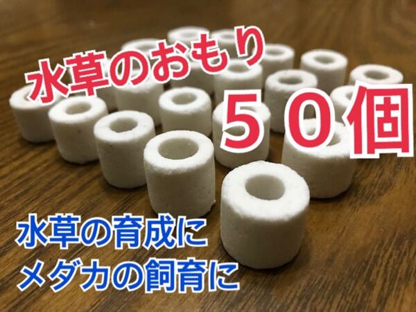 水草のおもり50個 メダカの飼育 水草の育成に アナカリス マツモ カボンバ等に おもり ろ過材