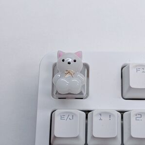 【訳あり】キーキャップ 白猫