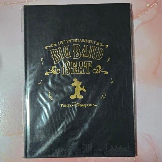 ディズニーシー Disney ディズニー ビッグバンドビート BBB ミッキー ミニー フォトブック 写真集