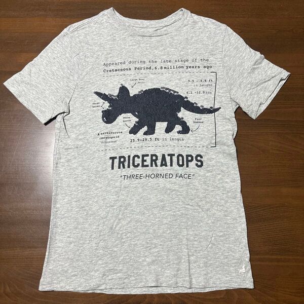 GAPキッズスパンコール恐竜TシャツXLサイズ