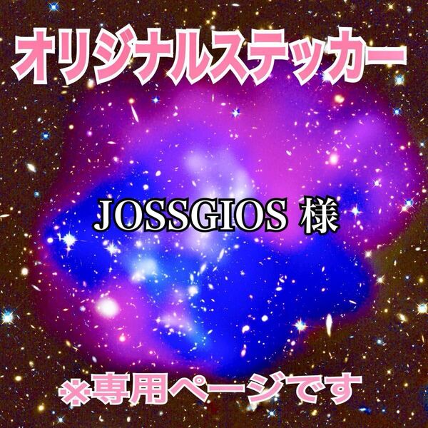 オーダーステッカー オリジナルステッカー カッティングステッカー