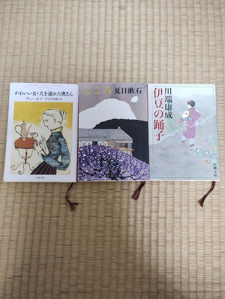 こころ 伊豆の踊子 かわいい女・犬を連れた奥さん