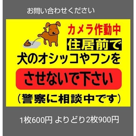 A4サイズカラーコーンプラカード256『カメラ作動中住居前で犬のオシッコやフンをさせないで下さい警察に相談中です』