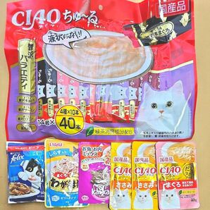 ちゅーる 40本 ウェットフード 6袋 おやつ