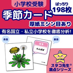 小学校受験 季節 季節カード (ミシン目あり) 季節のお勉強