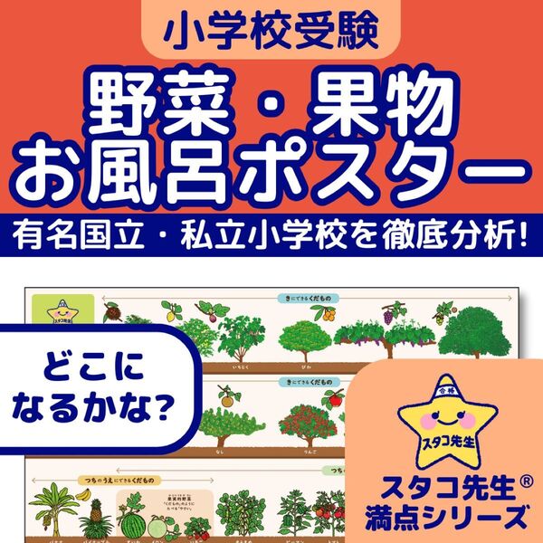 小学校受験 お風呂ポスター 野菜 果物 理科的常識