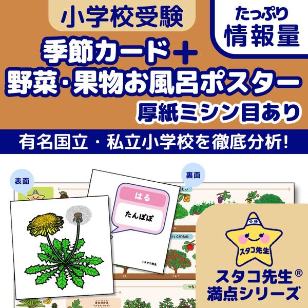 小学校受験 季節カード (ミシン目あり) 野菜・果物 お風呂ポスター 理科的常識