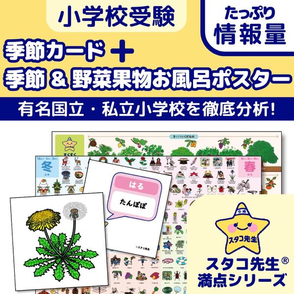 小学校受験 お風呂ポスター カード 季節 野菜 果物 理科的常識
