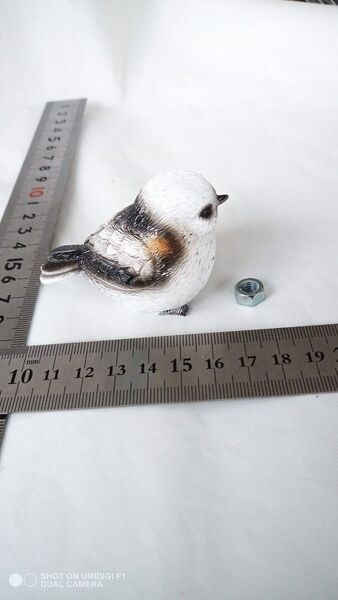 リアワイパーキャップ、リアワイパー、キャンプ、ハイエース、ジムニー、インコ、文鳥