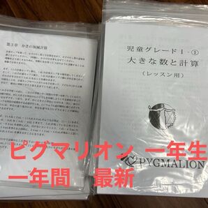 小学校1年 スーパーピグマリオン 2024 最新 一年間 小1 ピグマリオン