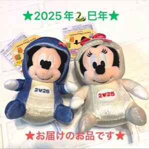 ★商品指定!★東京ディズニーリゾート限定★ 2025年干支 巳年 ぬいぐるみバッジ ミッキー ミニー