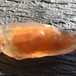 ゴビ石−1340 ゴビ瑪瑙 原石