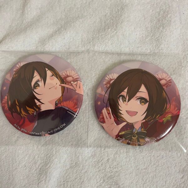 プロセカ コネクトライブ MEIKO 缶バッジ