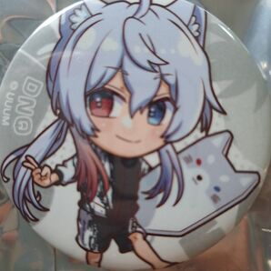 カラフルピーチ どぬくさん サマーランド 缶バッジ