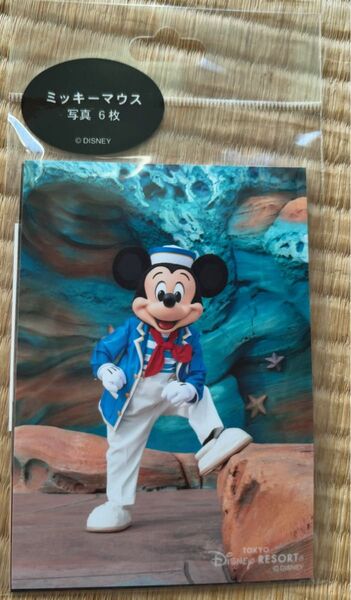 ディズニーリゾート ミッキーマウス写真