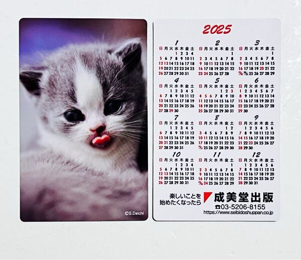 【便利】2025年 ねこのカレンダー カードタイプカレンダー 2枚