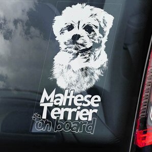◆送料無料【マルチーズ】外張り カーステッカー 205×100mm 外貼り カー ステッカー 車 ガラス シール DOG ON BOAD 小型犬 犬 D1@2336-3