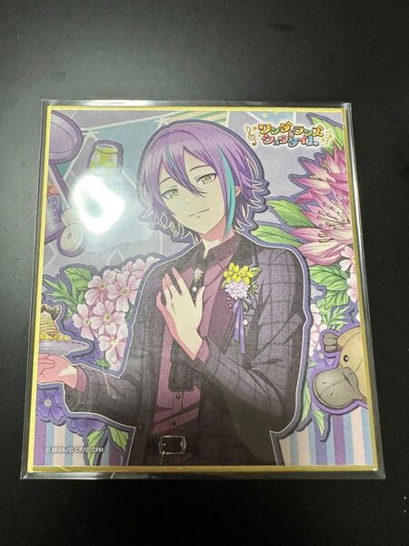 プロセカ ワンダショ 神代類 色紙 Anniversary&birthdayvol.B