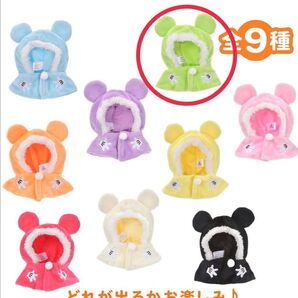 ○ディズニーストア シークレットポンチョ 緑○