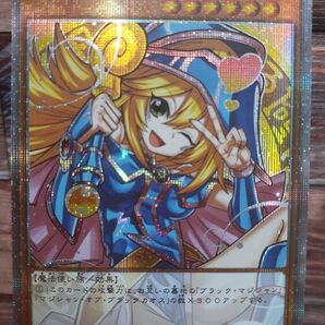 ◆展示用◆ACG ブラックマジシャンガール