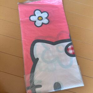 レジャーシート