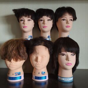 ④中古ヘッドマネキン レイヤーカット エクストラカット 美容師技術試験用 6体