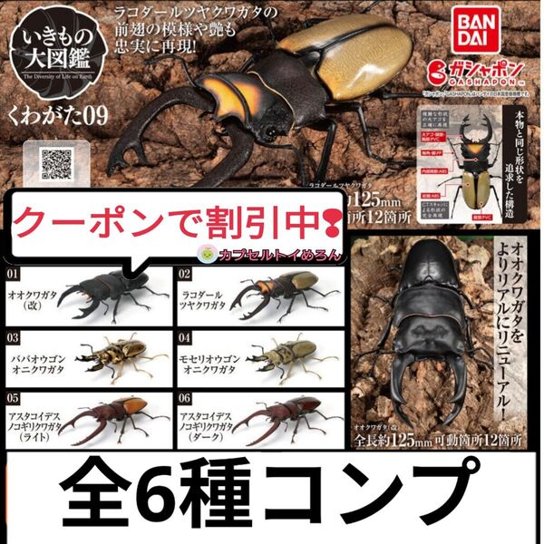 いきもの大図鑑 くわがた09【全6種コンプリートセット 】 フィギュア クワガタ 昆虫