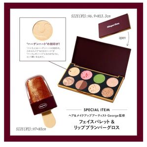 ハーゲンダッツ コスメセットブック Hagen-Dazs 宝島社 新品 未使用 リップグロス フェイスパレット チーク アイカラー