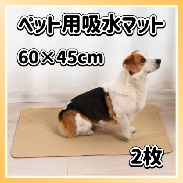 ペット用吸水マット 60×45cm 2枚 ベージュ ペット マット トイレ 防水 シート 洗える 犬 猫 おしっこマット 滑り止め