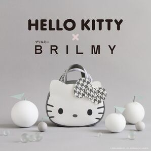 HELLO KITTY × BRILMY中身が見えて時短がかなう ズボラに優しいコスメポーチ SPECIAL PACKAGE 付録