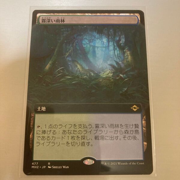 MTG 日本語 ニアミント 霧深い雨林