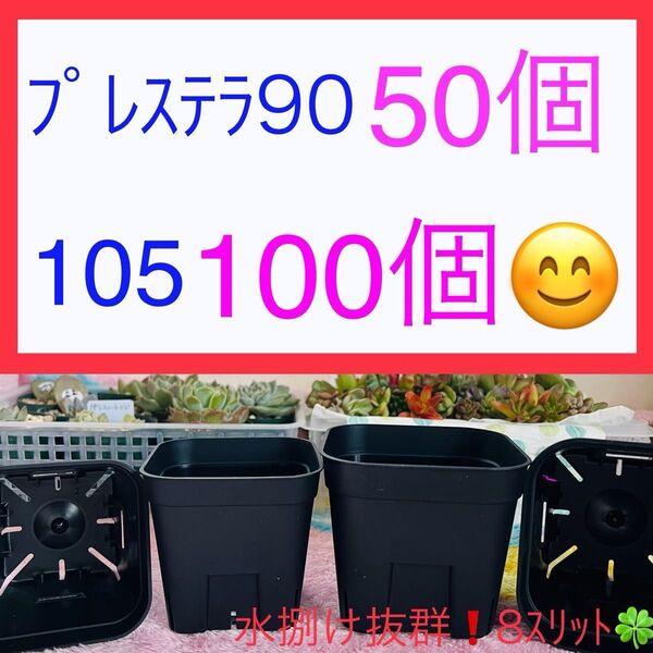 D⑤ プレステラお得セット★ 【90サイズ2.5号 50個】【105サイズ3号 100個】