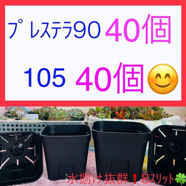 D①⑨ プレステラお得セット★ 【90サイズ・2.5号 40個】【105サイズ・3号 40個】