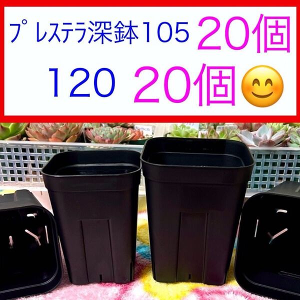 D①⑧ プレステラお得セット★ 【105深鉢20個】【120深鉢20個】