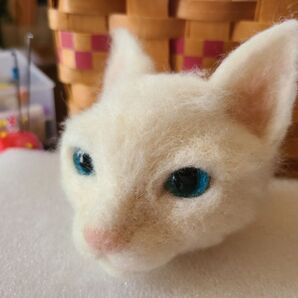 羊毛猫 頭のみ ぬいぐるみ