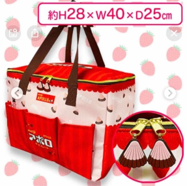 【 新品タグ付き 】アポロ保温保冷BIGマルチバッグ
